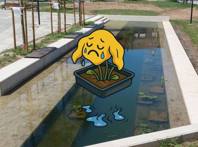 Lago dei sogni, stagno della realtà. Il “giardino acquatico” di piazza Vittorio Veneto rischia già di appassire